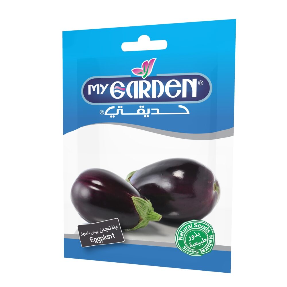 Eggplant