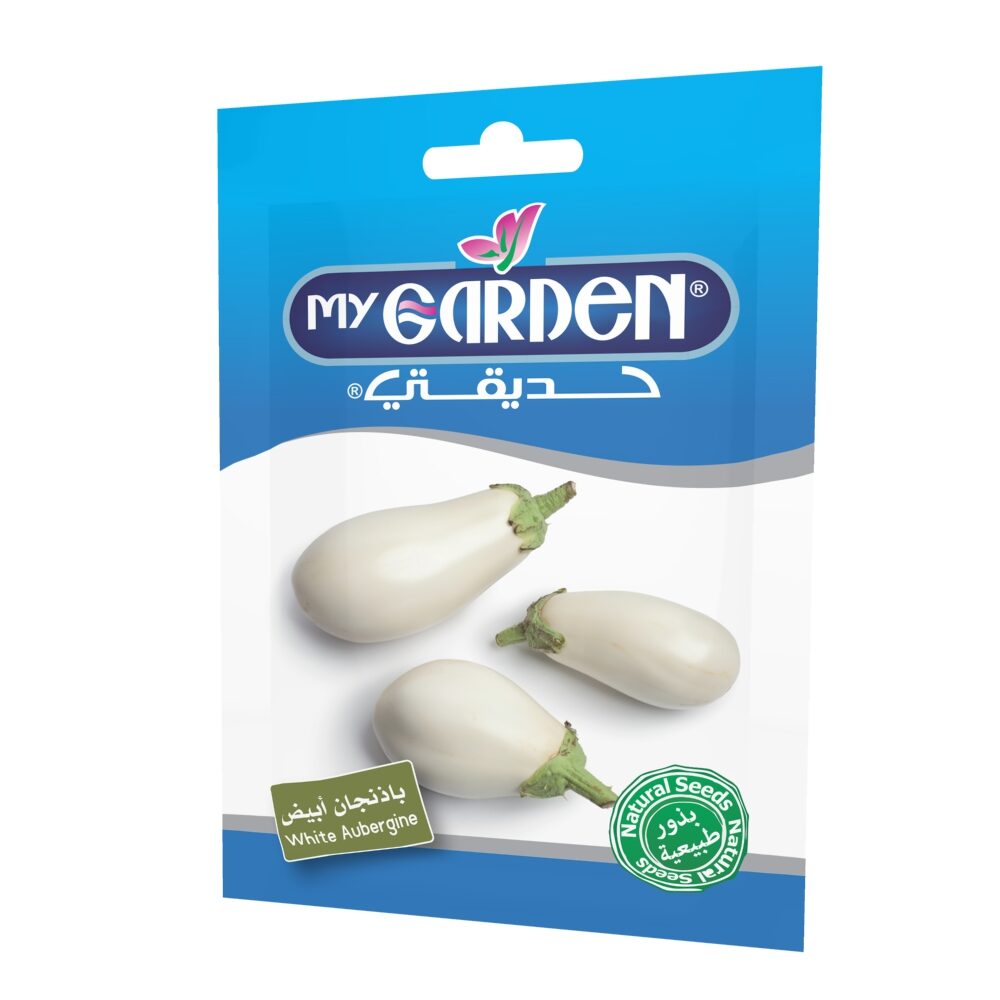 White Aubergine